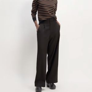 NWT Everlane Italian Wool Way High Drape Pant